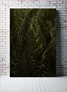 Πίνακας, Fern Leaves in Dark Forest Φύλλα φτέρης στο σκοτεινό δάσος