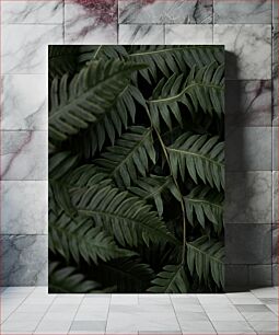 Πίνακας, Fern Leaves Φύλλα Φτέρης