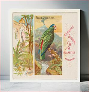Πίνακας, Festive Green Parrot, from Birds of the Tropics series (N38) for Allen & Ginter Cigarettes