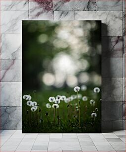 Πίνακας, Field of Dandelions Πεδίο Πικραλίδων