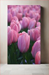 Πίνακας, Field of Pink Tulips Πεδίο με ροζ τουλίπες