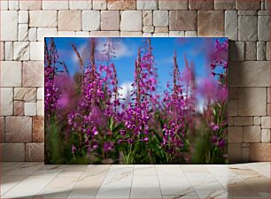 Πίνακας, Field of Purple Flowers Πεδίο με μωβ λουλούδια