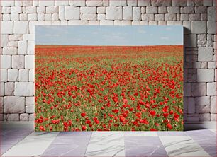 Πίνακας, Field of Red Flowers Πεδίο με κόκκινα λουλούδια