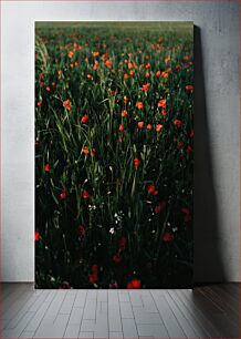 Πίνακας, Field of Red Flowers Πεδίο με κόκκινα λουλούδια
