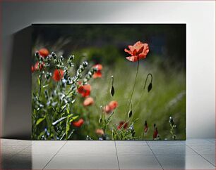 Πίνακας, Field of Red Poppies Πεδίο με κόκκινες παπαρούνες