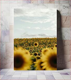Πίνακας, Field of Sunflowers Πεδίο με ηλιοτρόπια