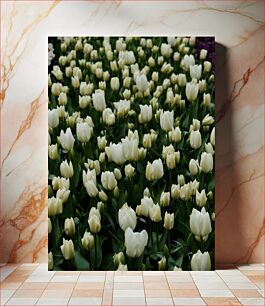 Πίνακας, Field of White Tulips Πεδίο με λευκές τουλίπες