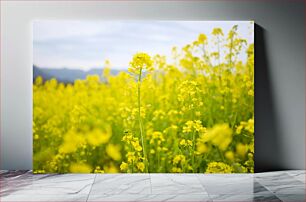 Πίνακας, Field of Yellow Flowers Πεδίο με κίτρινα λουλούδια