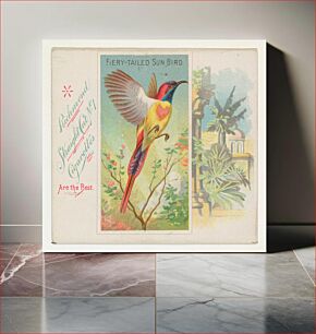 Πίνακας, Fiery-Tailed Sun Bird, from Birds of the Tropics series (N38) for Allen & Ginter Cigarettes