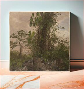 Πίνακας, Fig Tree and Wild Philodendron, Frederic Edwin Church