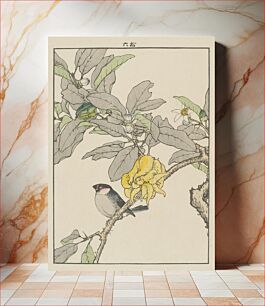 Πίνακας, Fingered Citron and Bullfinch by Imao Keinen