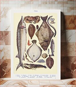 Πίνακας, Fish II: Crab, Oyster, Eel, Mussel, Lemon Sole, Halibut, Prawn, Sturgeon, Trout, Sprat, Brill, Escallop, Lamprey, Whitebait, Lobster, and Dover Sole from