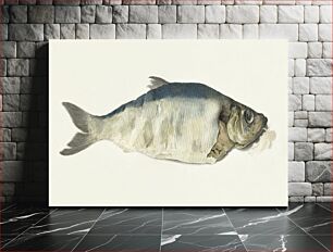 Πίνακας, Fish, partly perished (1833) by Jean Bernard (1775-1883)
