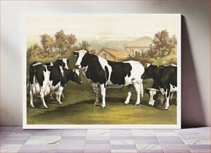 Πίνακας, Five cows, looking out at the viewer, standing in a field with a house behind them (1890) chromolithograph