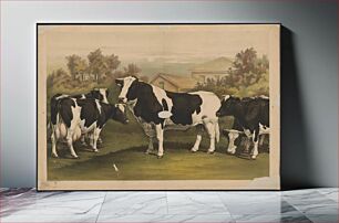 Πίνακας, [Five cows, looking out at the viewer, standing in a field with a house behind them]