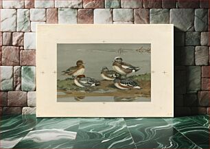 Πίνακας, Five ducks on a bank by Allan Brooks