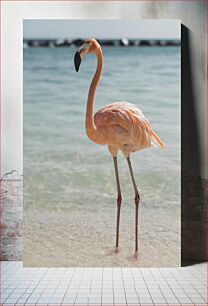 Πίνακας, Flamingo by the Sea Flamingo by the Sea