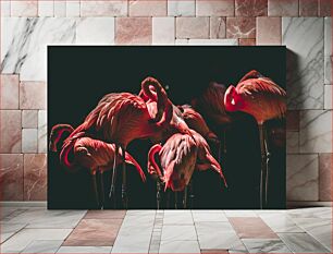 Πίνακας, Flamingo Flock in Dark Background Σμήνος φλαμίνγκο σε σκοτεινό φόντο