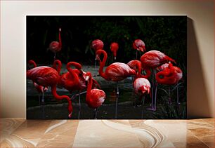 Πίνακας, Flamingo Gathering Συγκέντρωση Φλαμίνγκο