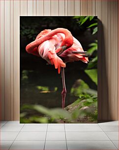 Πίνακας, Flamingo in its Natural Habitat Το φλαμίνγκο στο φυσικό του περιβάλλον