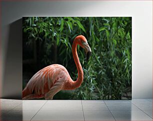 Πίνακας, Flamingo in Lush Greenery Φλαμίνγκο σε καταπράσινο τοπίο