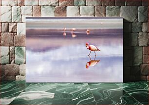 Πίνακας, Flamingo in Reflection Φλαμίνγκο στην Αντανάκλαση
