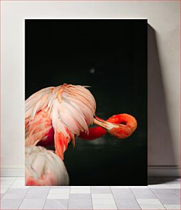 Πίνακας, Flamingo in Serenity Flamingo in Serenity