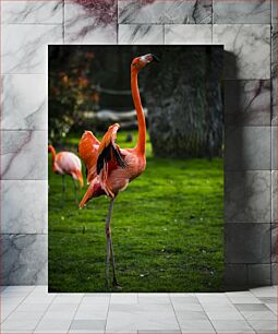 Πίνακας, Flamingo in the Park Φλαμίνγκο στο πάρκο