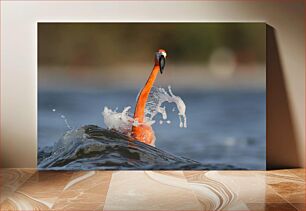 Πίνακας, Flamingo in the Water Φλαμίνγκο στο νερό