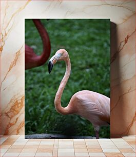 Πίνακας, Flamingo in the Wild Flamingo in the Wild