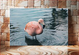 Πίνακας, Flamingo in Water Φλαμίνγκο στο νερό