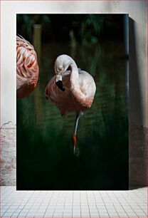 Πίνακας, Flamingo in Water Φλαμίνγκο στο νερό