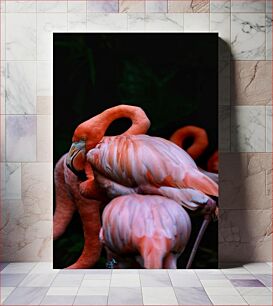 Πίνακας, Flamingo Serenity Flamingo Serenity