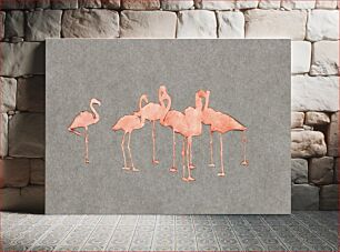Πίνακας, Flamingoes, study folder for book Concealing Coloration in the Animal Kingdom by Abbott Handerson Thayer (1849–1921)