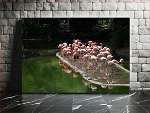 Πίνακας, Flamingos by the Water Φλαμίνγκο δίπλα στο νερό