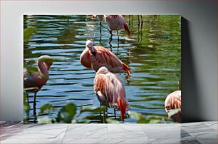 Πίνακας, Flamingos by the Water Φλαμίνγκο δίπλα στο νερό