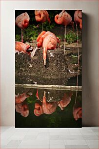 Πίνακας, Flamingos by the Water Φλαμίνγκο δίπλα στο νερό