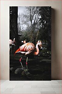 Πίνακας, Flamingos in a Forested Area Φλαμίνγκο σε δασική περιοχή