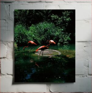 Πίνακας, Flamingos in a Lush Forest Φλαμίνγκο σε ένα καταπράσινο δάσος