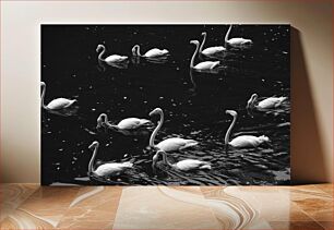 Πίνακας, Flamingos in Black and White Φλαμίνγκο σε ασπρόμαυρο