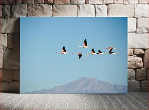 Πίνακας, Flamingos in Flight Φλαμίνγκο σε πτήση