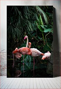 Πίνακας, Flamingos in Lush Habitat Φλαμίνγκο σε καταπράσινο βιότοπο