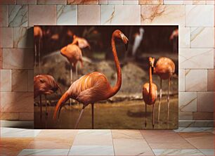 Πίνακας, Flamingos in the Wild Φλαμίνγκο στην άγρια ​​φύση