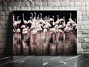 Πίνακας, Flamingos in Water Φλαμίνγκο στο νερό