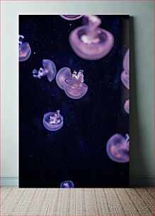 Πίνακας, Floating Jellyfish Πλωτές μέδουσες