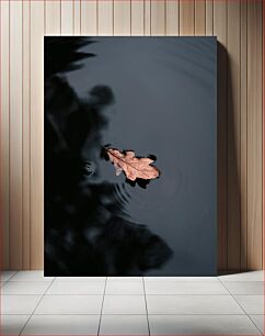 Πίνακας, Floating Leaf on Water Επιπλέον φύλλο στο νερό