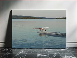 Πίνακας, Floatplane on a Lake Πλωτό αεροπλάνο σε μια λίμνη
