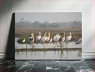 Πίνακας, Flock of Birds in Wetland Σμήνος πουλιών στον υγρότοπο