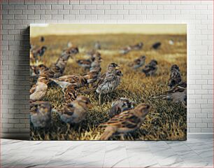 Πίνακας, Flock of Birds on Grass Κοπάδι πουλιών στο γρασίδι
