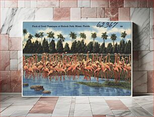 Πίνακας, Flock of coral flamingos at Hialeah Park, Miami, Florida